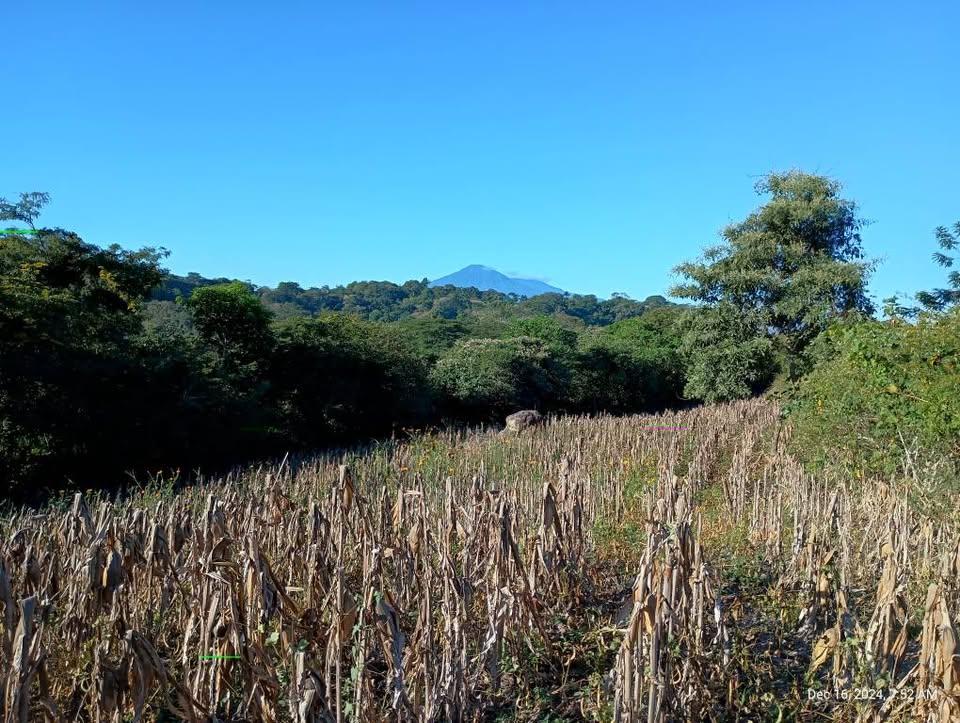 Imagen de 🌿 ¡Oportunidad única! Lote en San José Guayabal 🏡